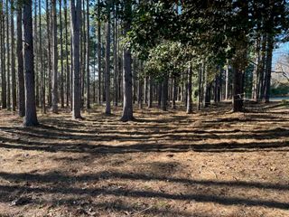 2075 Mount Lebanon Road, Campobello, SC 29322