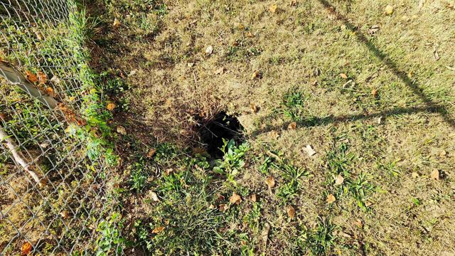 2405 W 10Th Street, Muncie, IN 47302