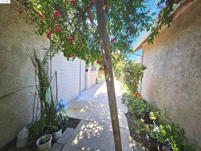 427 Grovewood Loop, Brentwood, CA 94513