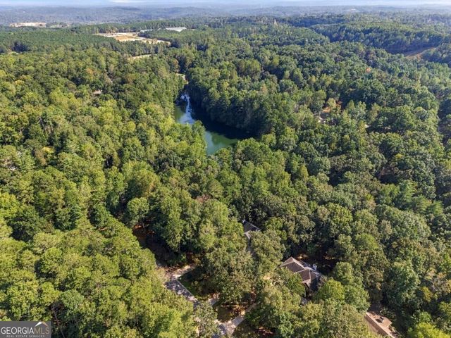 2038 Laurel Cove, Ball Ground, GA 30107