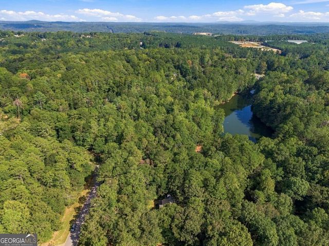 2038 Laurel Cove, Ball Ground, GA 30107