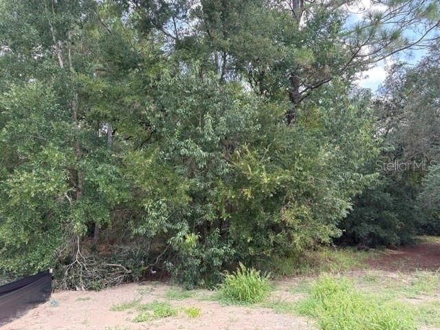17833 SW 61ST LANE ROAD, Dunnellon, FL 34432
