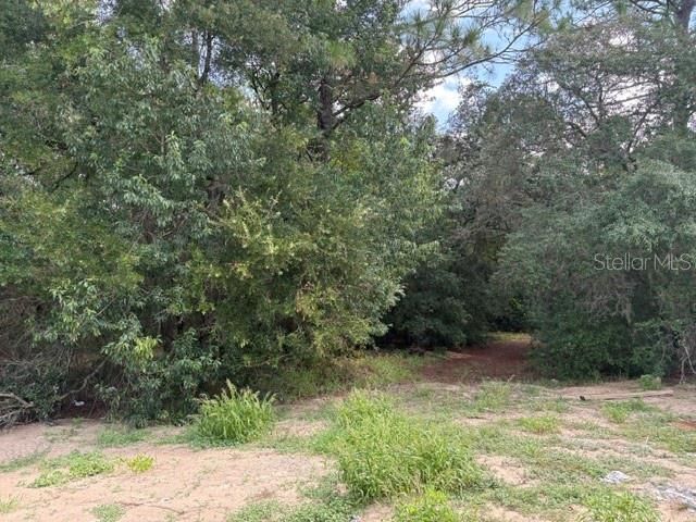 17833 SW 61ST LANE ROAD, Dunnellon, FL 34432