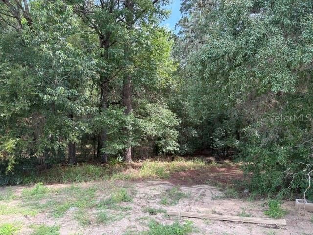 17833 SW 61ST LANE ROAD, Dunnellon, FL 34432