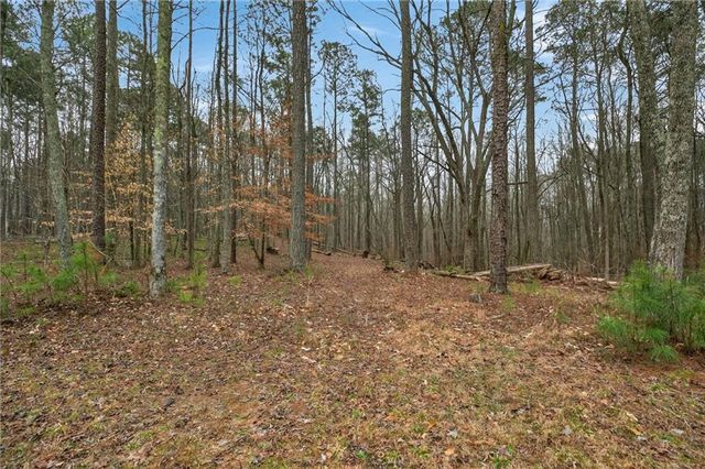 7346 Banks Mill Road, Douglasville, GA 30135