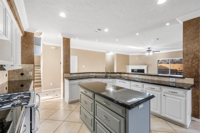 2406 Spanish Oak Hill Court, Spring, TX 77388