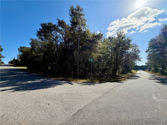 1998 E Newhaven Street, Inverness, FL 34453