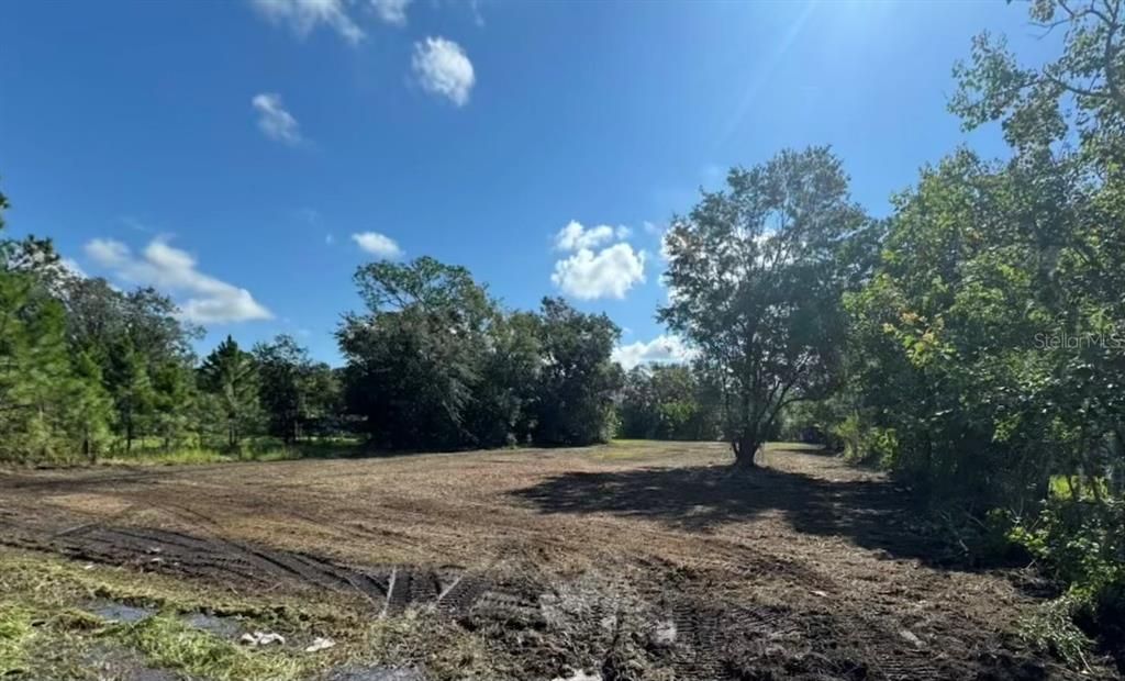 0 MOORE ROAD, Lakeland, FL 33809