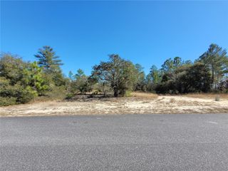 3138 W REDGATE DRIVE, Dunnellon, FL 34433