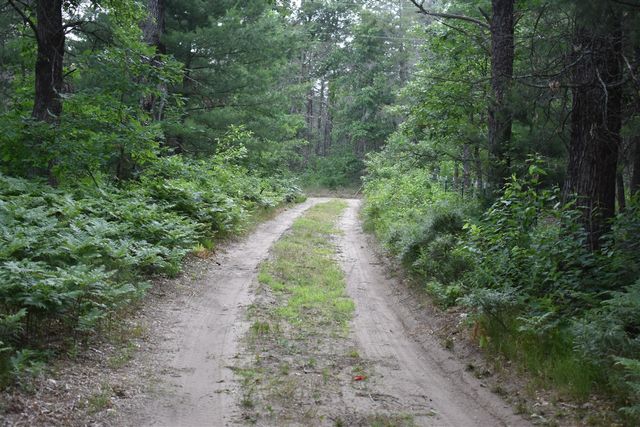 2350 S Burke Circle, Baldwin, MI 49304