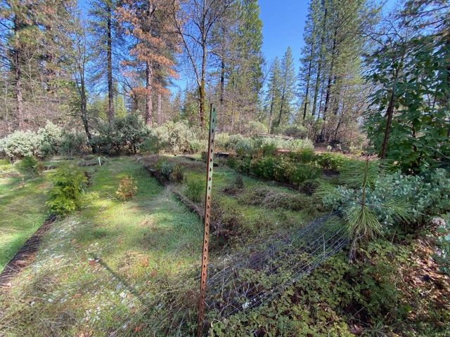 20194 Madrone Springs Rd, Nevada City, CA 95959