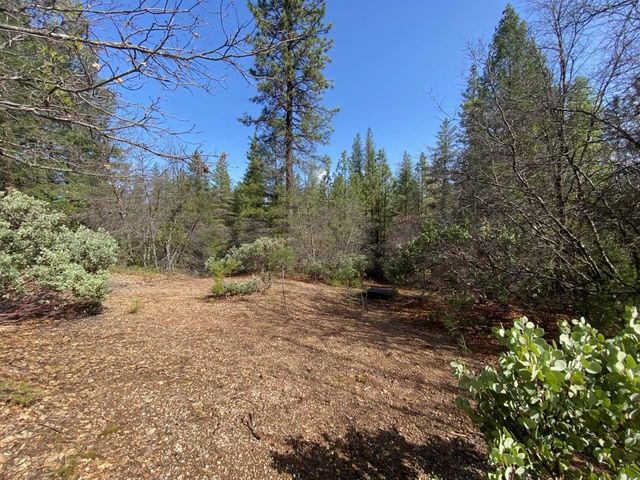 20194 Madrone Springs Rd, Nevada City, CA 95959