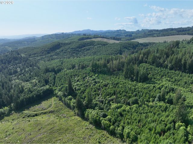 0 Ne 206th Ave, Amboy, WA 98601