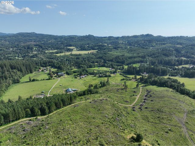 0 Ne 206th Ave, Amboy, WA 98601