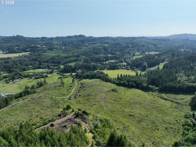 0 Ne 206th Ave, Amboy, WA 98601