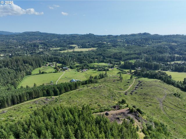 0 Ne 206th Ave, Amboy, WA 98601