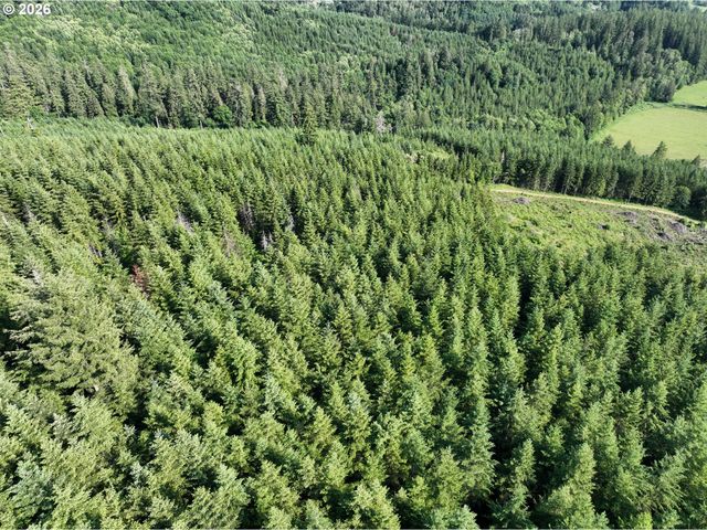 0 Ne 206th Ave, Amboy, WA 98601