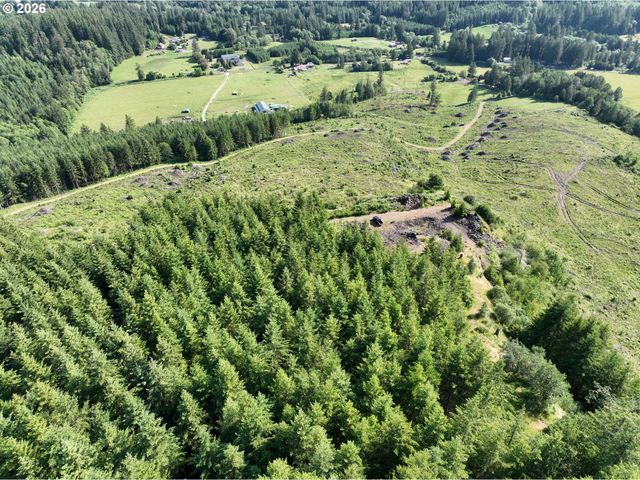 0 Ne 206th Ave, Amboy, WA 98601