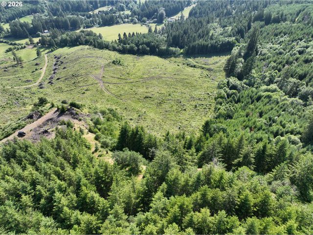 0 Ne 206th Ave, Amboy, WA 98601