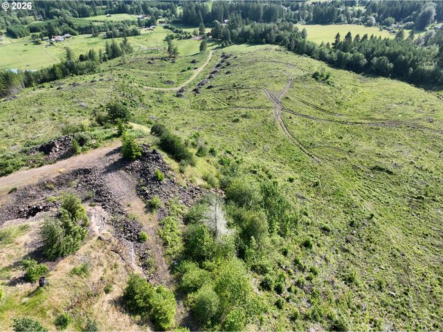 0 Ne 206th Ave, Amboy, WA 98601