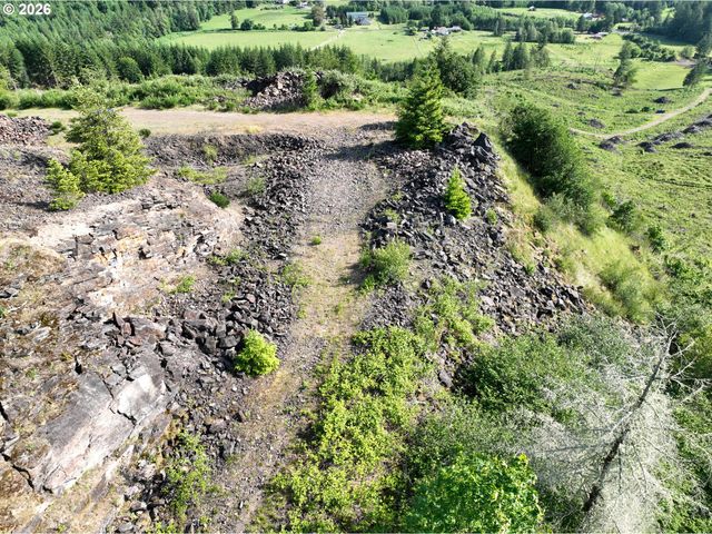 0 Ne 206th Ave, Amboy, WA 98601