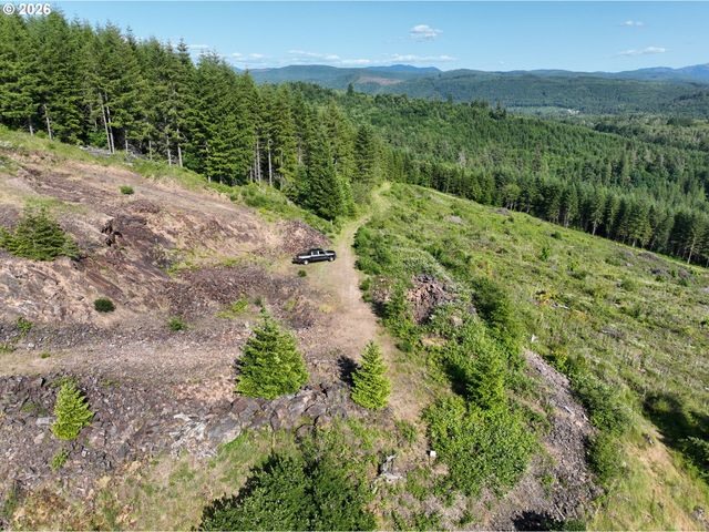 0 Ne 206th Ave, Amboy, WA 98601