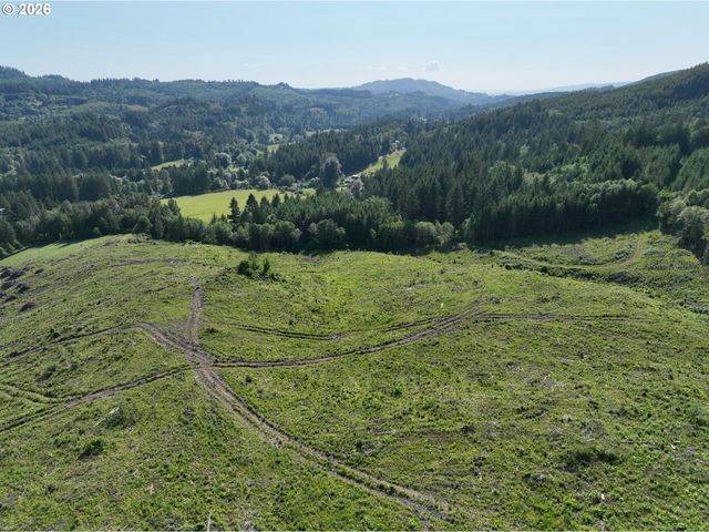 0 Ne 206th Ave, Amboy, WA 98601