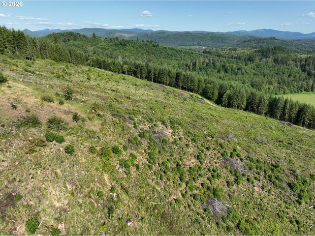 0 Ne 206th Ave, Amboy, WA 98601