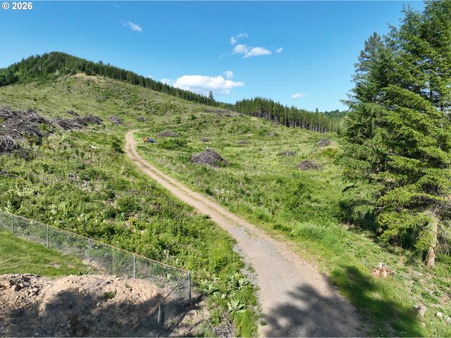 0 Ne 206th Ave, Amboy, WA 98601