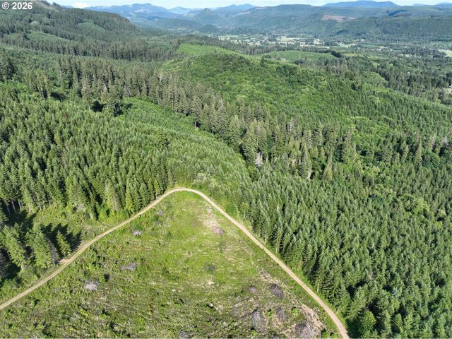 0 Ne 206th Ave, Amboy, WA 98601