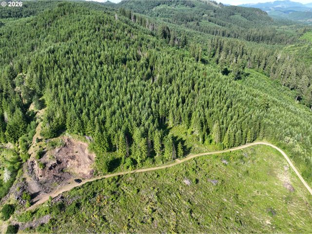 0 Ne 206th Ave, Amboy, WA 98601