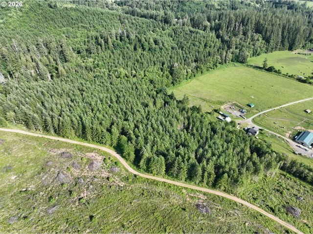 0 Ne 206th Ave, Amboy, WA 98601