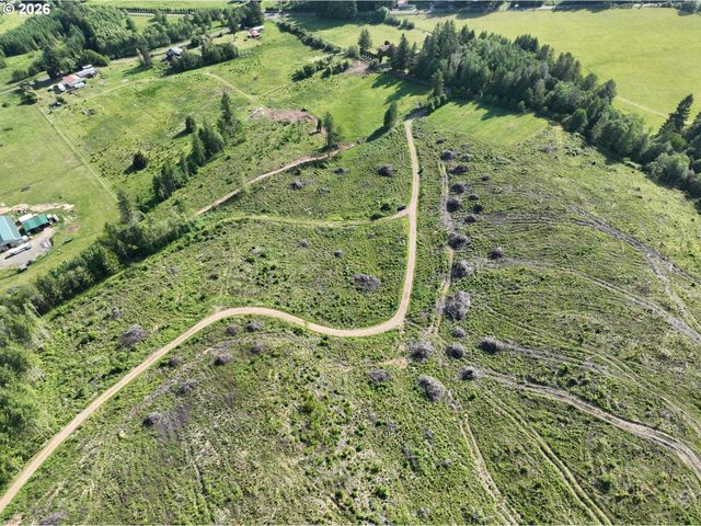 0 Ne 206th Ave, Amboy, WA 98601