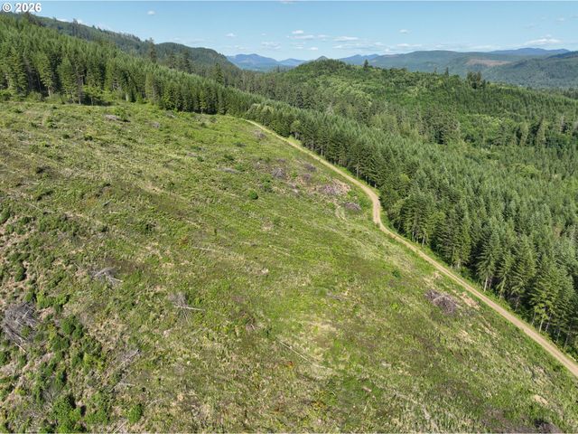 0 Ne 206th Ave, Amboy, WA 98601