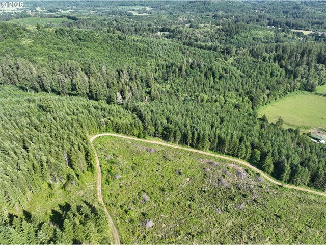 0 Ne 206th Ave, Amboy, WA 98601