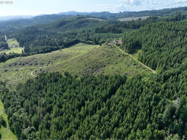 0 Ne 206th Ave, Amboy, WA 98601