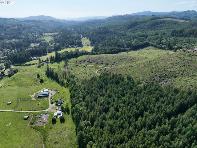 0 Ne 206th Ave, Amboy, WA 98601