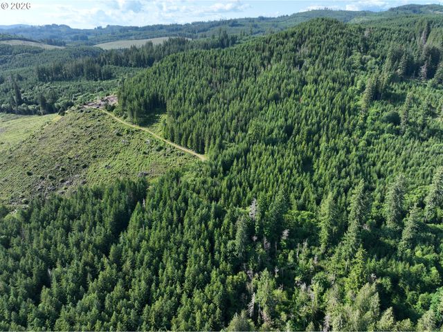 0 Ne 206th Ave, Amboy, WA 98601