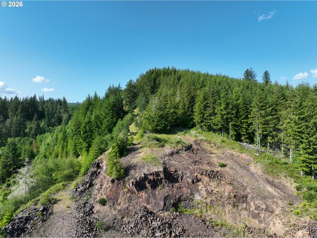 0 Ne 206th Ave, Amboy, WA 98601