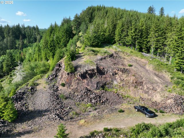 0 Ne 206th Ave, Amboy, WA 98601