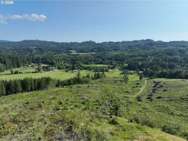 0 Ne 206th Ave, Amboy, WA 98601