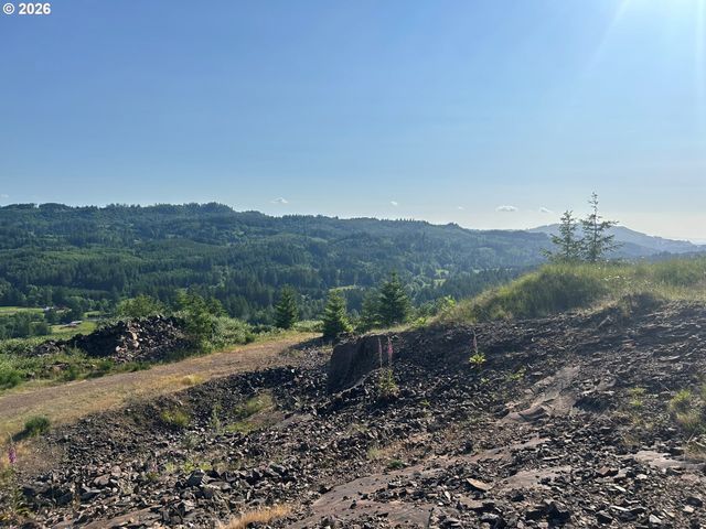 0 Ne 206th Ave, Amboy, WA 98601