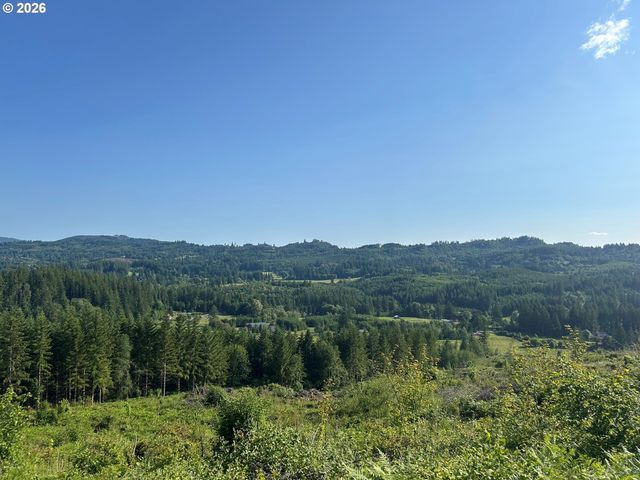 0 Ne 206th Ave, Amboy, WA 98601