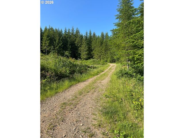 0 Ne 206th Ave, Amboy, WA 98601