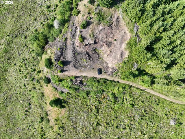 0 Ne 206th Ave, Amboy, WA 98601