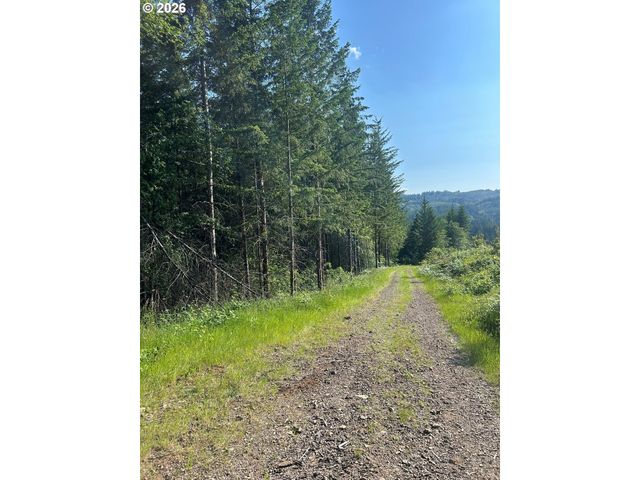 0 Ne 206th Ave, Amboy, WA 98601