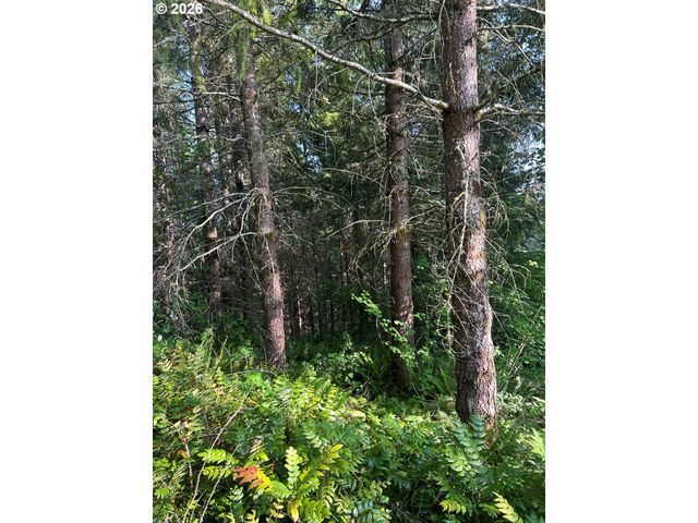 0 Ne 206th Ave, Amboy, WA 98601