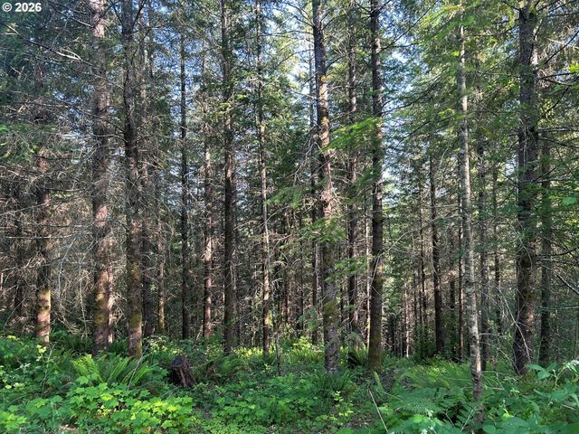 0 Ne 206th Ave, Amboy, WA 98601