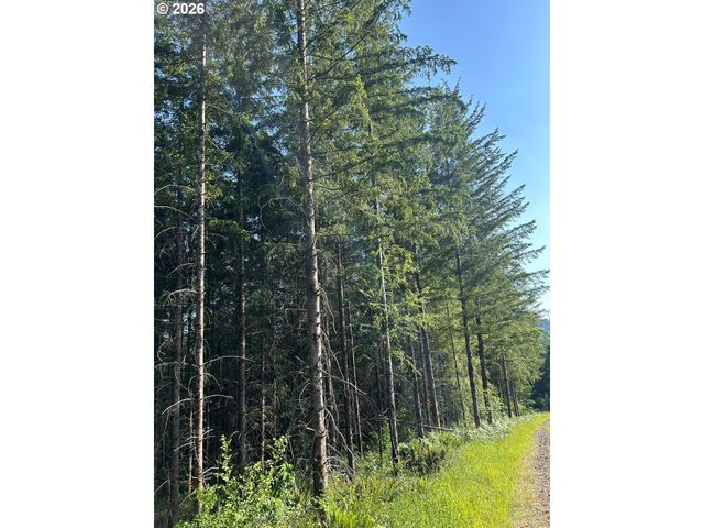 0 Ne 206th Ave, Amboy, WA 98601