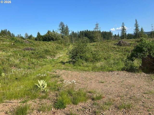 0 Ne 206th Ave, Amboy, WA 98601